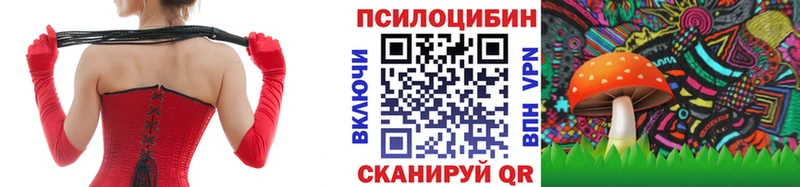 где найти   Сибай  Галлюциногенные грибы Psilocybine cubensis 